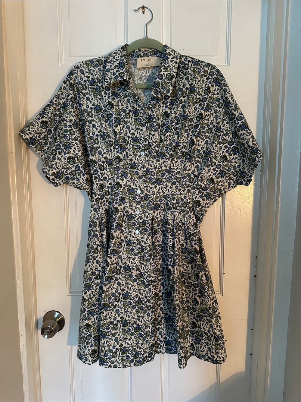 Exquise Floral Button-Front Mini Dress in Blue and Green flowers